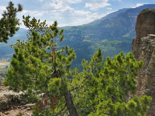 20200920_142132.jpg