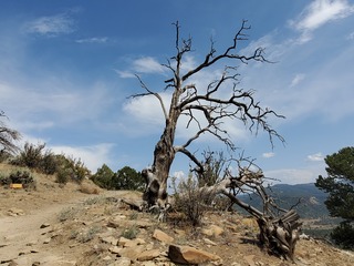 20200922_142023.jpg