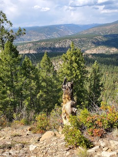 20200922_143605.jpg