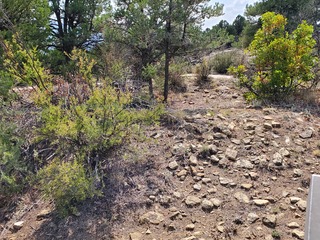 20200922_143657.jpg