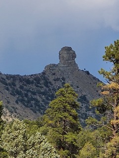 20200922_151509.jpg