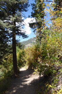 P1090005.JPG