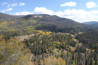 P1090006.JPG