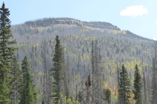 P1090017.JPG