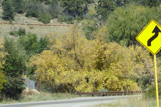 P1090025.JPG