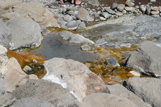 P1090043.JPG