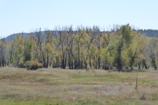 P1090044.JPG