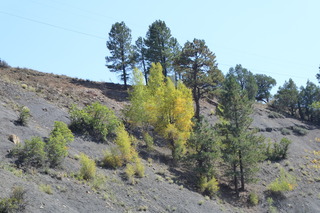 P1090045.JPG