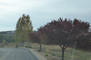 P1090050.JPG