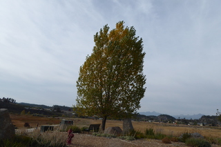 P1090053.JPG