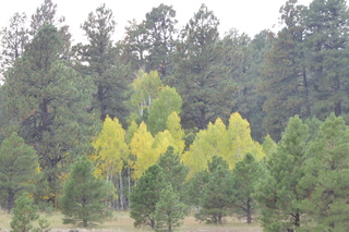 P1090054.JPG
