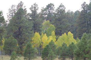 P1090055.JPG