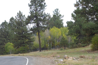 P1090056.JPG