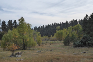 P1090057.JPG