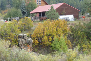 P1090059.JPG