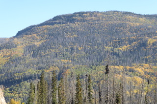 P1090065.JPG