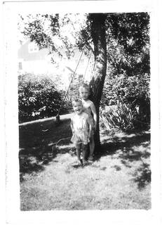 Photograph_282029.jpg