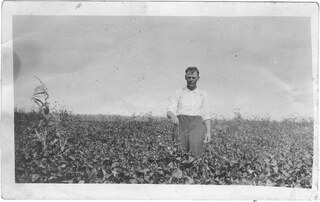Photograph_289229.jpg