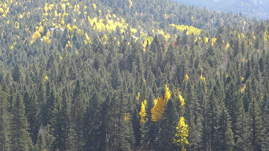 P1110055.JPG