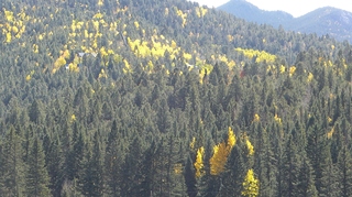 P1110054.JPG