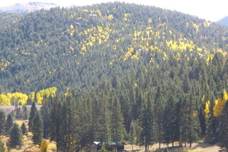 P1110057.JPG