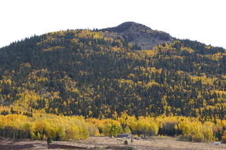 P1110064.JPG