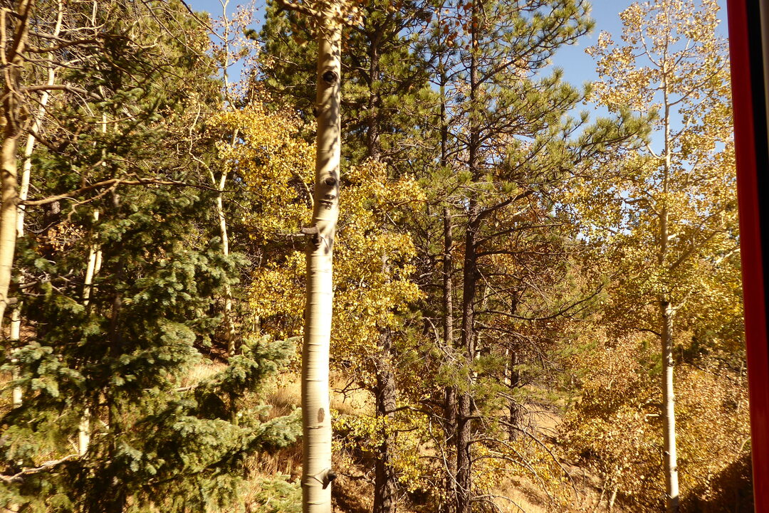 P1110266.JPG
