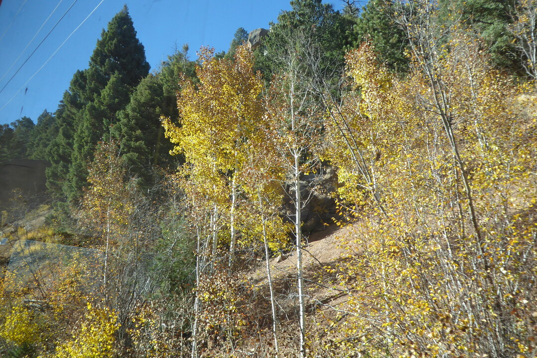 P1110314.JPG