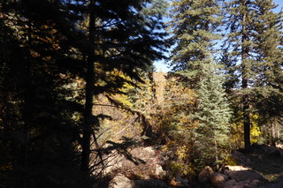 P1110234.JPG