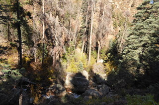 P1110236.JPG