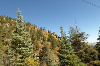 P1110238.JPG