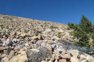 P1110273.JPG